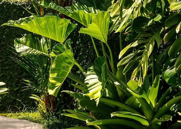 Gasthof Mira Family Ubud